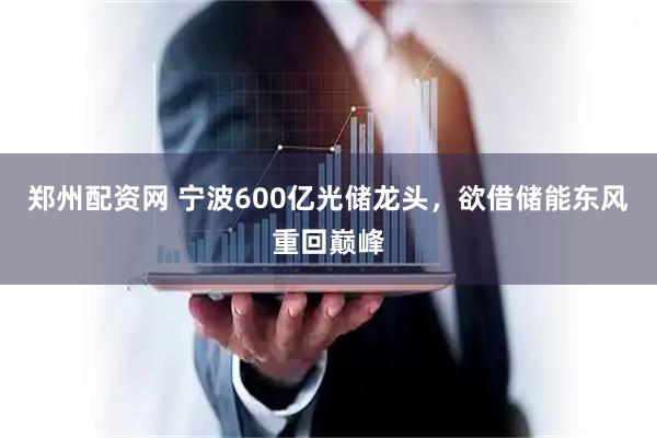 郑州配资网 宁波600亿光储龙头，欲借储能东风重回巅峰