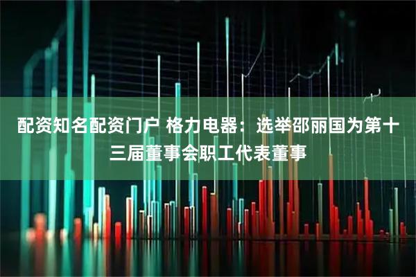 配资知名配资门户 格力电器：选举邵丽国为第十三届董事会职工代表董事