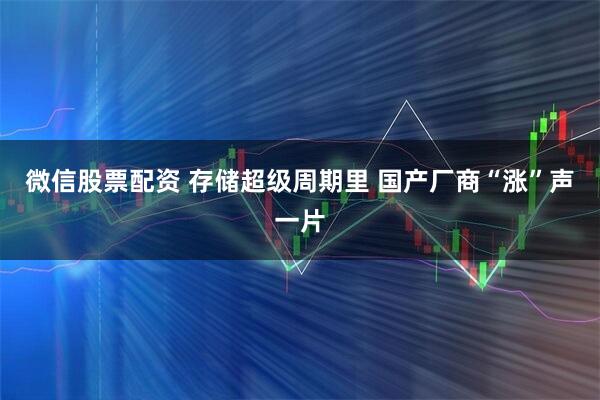 微信股票配资 存储超级周期里 国产厂商“涨”声一片