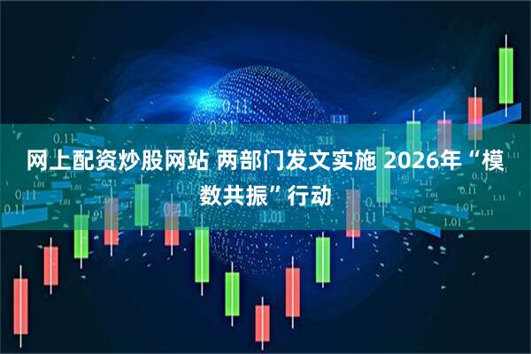 网上配资炒股网站 两部门发文实施 2026年“模数共振”行动